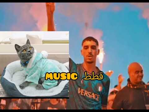 Ninja& loukman بصوت القطط_music  #قطط_music #loukman #ninja