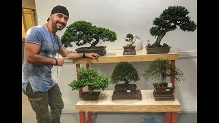 Miniatura do vídeo