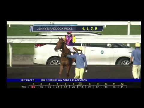 2021 03 31 沙田 泥地 第一場 田泰安 一路順風