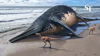 Fossil of what could be the largest known marine reptile found on British beach