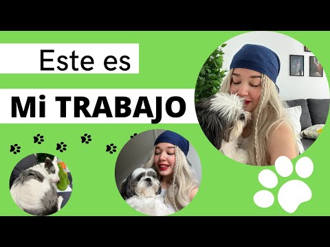 MI EXPERIENCIA TRABAJANDO EN ESPAÑA CUIDANDO PERROS | ROVER