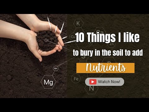10 things to bury in soil to increase soil nutrients