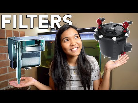 Best FILTER for Turtle Tanks - Canister VS Power Filter?!
