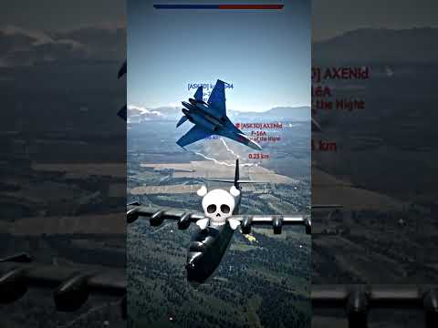 Average Russian pilot 💀