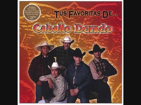 caballo dorado-arriba abajo