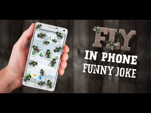 Fly in phone funny joke Video