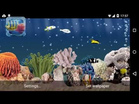 Aquarium Live Wallpaper Pro Video