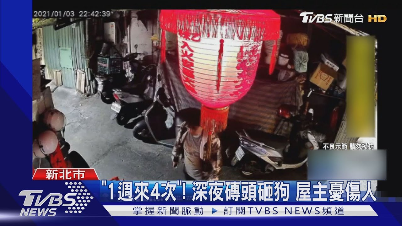 「1週來4次」！深夜磚頭砸狗　屋主憂傷人