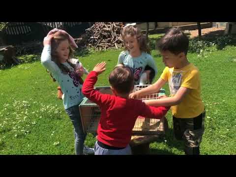 Twins Girls Rejana Tuana Aliu