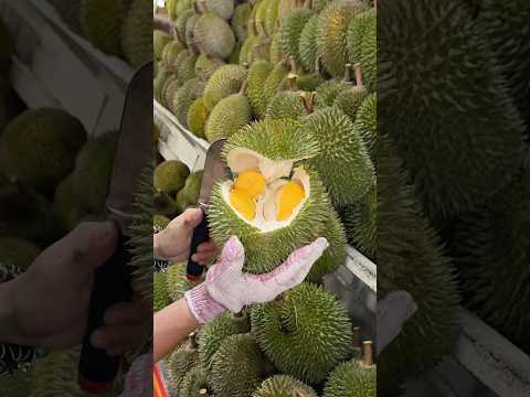 The Most Popular Durian Store in Malacca, Malaysia - Fruit Cutting Skills