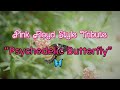 “Psychedelic Butterfly” - Pink Floyd Tribute Style - Psychedelic Rock  