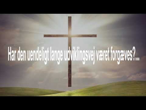 BD 5230 Har den uendeligt lange udviklingsvej været forgæves?...