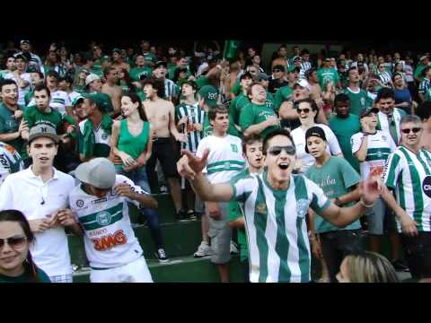 Quem são os Coxas Doidos? Coritiba 4 x 1 Arapongas