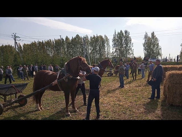 "Ат көне"ндә йөкчеләр ярышы