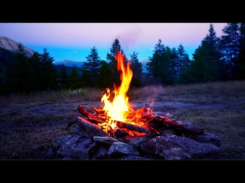 Peaceful Campfire at Sunrise. Nature Relaxation Video with Crackling Fire Sounds, Stress Relief