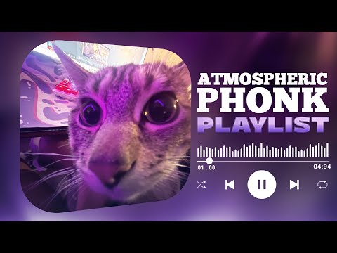 BEST PHONK MIX | ATMOSPHERIC PHONK PLAYLIST | CHILL PHONK | NIGHT DRIVE MUSIC | PHONK 2024