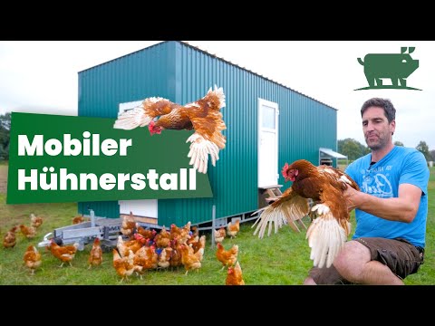 Unser selbstgebautes Hühnermobil