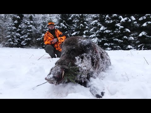 Schnelle Sauen im Schnee - Drückjagd in Masuren