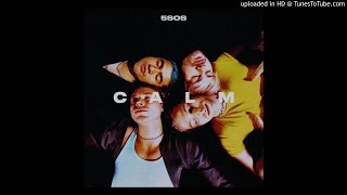 (3D AUDIO!!!)5 Seconds Of Summer-Not In The Same Way(USE HEADPHONES!!!)