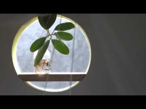 Noovilu Suites - The luxury guest house in Maldives, Mahibadhoo