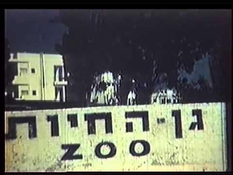 סרטון נוסטלגי נפלא של תל אביב בשנת 1947