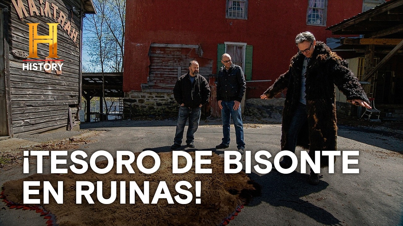 ¡Tesoro de bisonte en ruinas! 🧥 - CAZADORES DE TESOROS