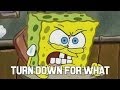 Spongebob "Turn down for what" 