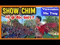 Cận Cảnh Toàn Bộ Show Chim VinWonders Nha Trang Công Viên Giải Trí Vinpearland Xê Dịc