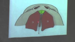 3-[Special embryology] Dr.Hanan (Development of palate and tounge) 29/2/2016