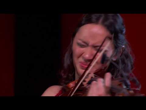 Nigel Kennedy Sibelius: Violin Concerto in D song