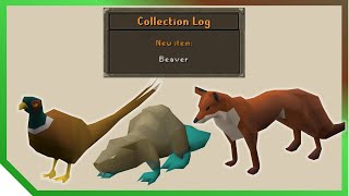 Beaver Pet Drop + Fox & Pheasant Transmog 🦚 OSRS Old School RuneScape