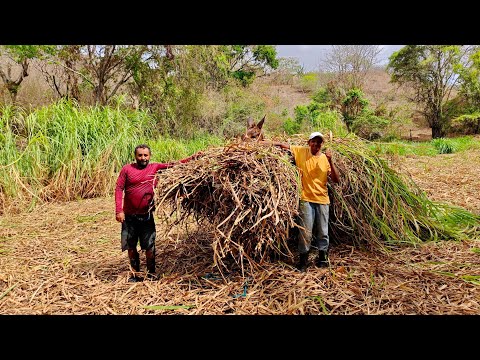 Visitando os Amigos em Salgadinho - Pernambuco, 30 de janeiro de 2026