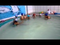 Piscina De La IE El Buen Consejo Aquabebes Jeliel En Su Primer Día De Natación