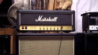 Video thumbnail for 1983 Marshall JCM 800 2204 with EL34's by Mark Starr
