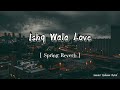 Ishq Wala Love Spring Reverb Remix Song