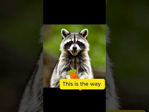 This Is the Way - Jessie Banks, Anthony Mode & Pat Stone #thisistheway