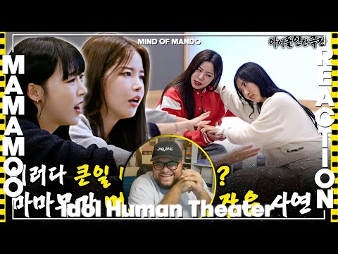 MAMAMOO 'Idol Human Theater' REACTION | Loser Crew In Control 😂
