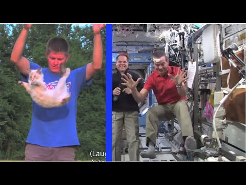 宇宙ステーションに話しかける!- 毎日がもっと賢くなる 85 (TALKING TO THE SPACE STATION!!! - Smarter Every Day 85)