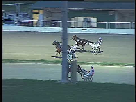 Trotto 19/01/2018 - prova di qualifica