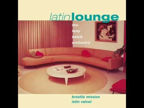 "ＬＡＴＩＮ   ＬＯＵＮＧＥ"  ＴＨＥ ＴＯＮＹ  ＨＡＴＣＨ  ＯＲＣＨＥＳＴＲＡ