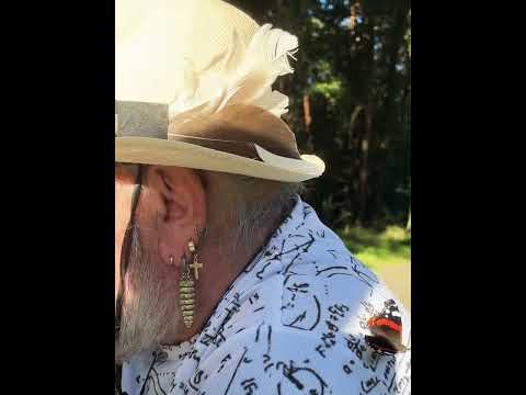 Smetterling mit einer Vorliebe für Mathematik #butterfly #vanessa #atalanta