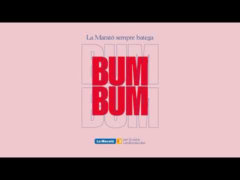 13. Lluitar (Try) - DonesStrings, Laura Andrés i Billows