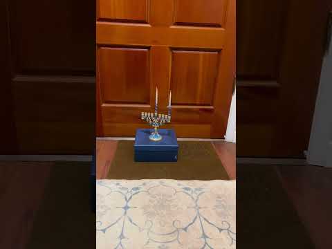 Cats & Hanukkah #shorts #hannukah #holidays #petsafety #cats