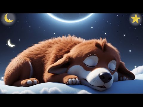 Relax In No Time video