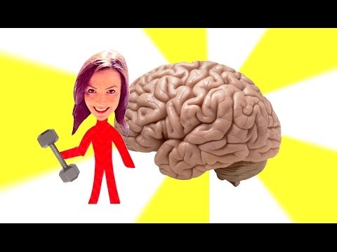 運動が記憶力を向上させる方法 (How Exercise Can Improve Your Memory)