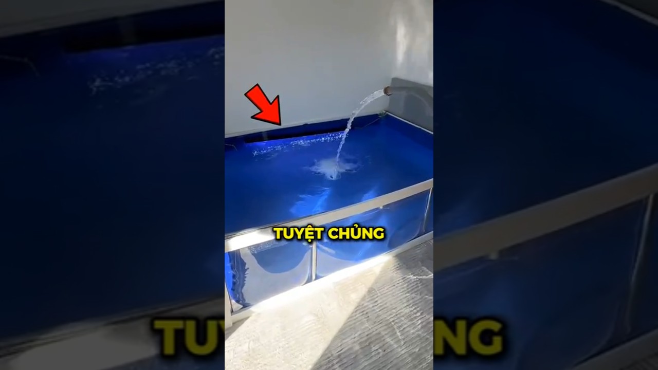 Tại sao ai cũng bỏ giường nước