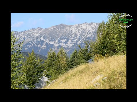 Peisaje din Satul Măgura, Jud. Brașov - România. [Full HD]