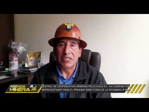 𝐏𝐄𝐋𝐄𝐂𝐇𝐔𝐂𝐎 𝐑.𝐋. 𝐂𝐔𝐄𝐍𝐓𝐀 𝐂𝐎𝐍 𝐒𝐔 𝐑𝐄𝐏𝐑𝐄𝐒𝐄𝐍𝐓𝐀𝐍𝐓𝐄 𝐏𝐀𝐑𝐀 𝐋𝐀 𝐄𝐋𝐄𝐂𝐂𝐈𝐎́𝐍 𝐃𝐄 𝐃𝐈𝐑𝐄𝐂𝐓𝐎𝐑𝐈𝐎 𝐃𝐄 𝐋𝐀 𝐅𝐄𝐂𝐎𝐌𝐀𝐍 𝐋𝐀 𝐏𝐀𝐙 𝐑.𝐋.