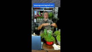 TGIF Seeds! GROW FOOD FAST!