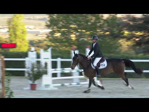 Fatalite de Hus (Cornet Obolensky / Kannan) - 4yo mare 26.10.29